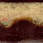 Comparison of Molecular Structure in Fluoropolymer Sintering