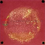 耐腐蚀耐渗透性对比